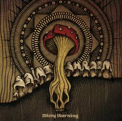 Misty Morning : Saint Shroom